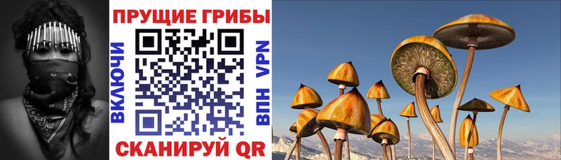 ссылка на мегу ССЫЛКА  Краснокамск  Псилоцибиновые грибы MAGIC MUSHROOMS  купить наркотики цена 